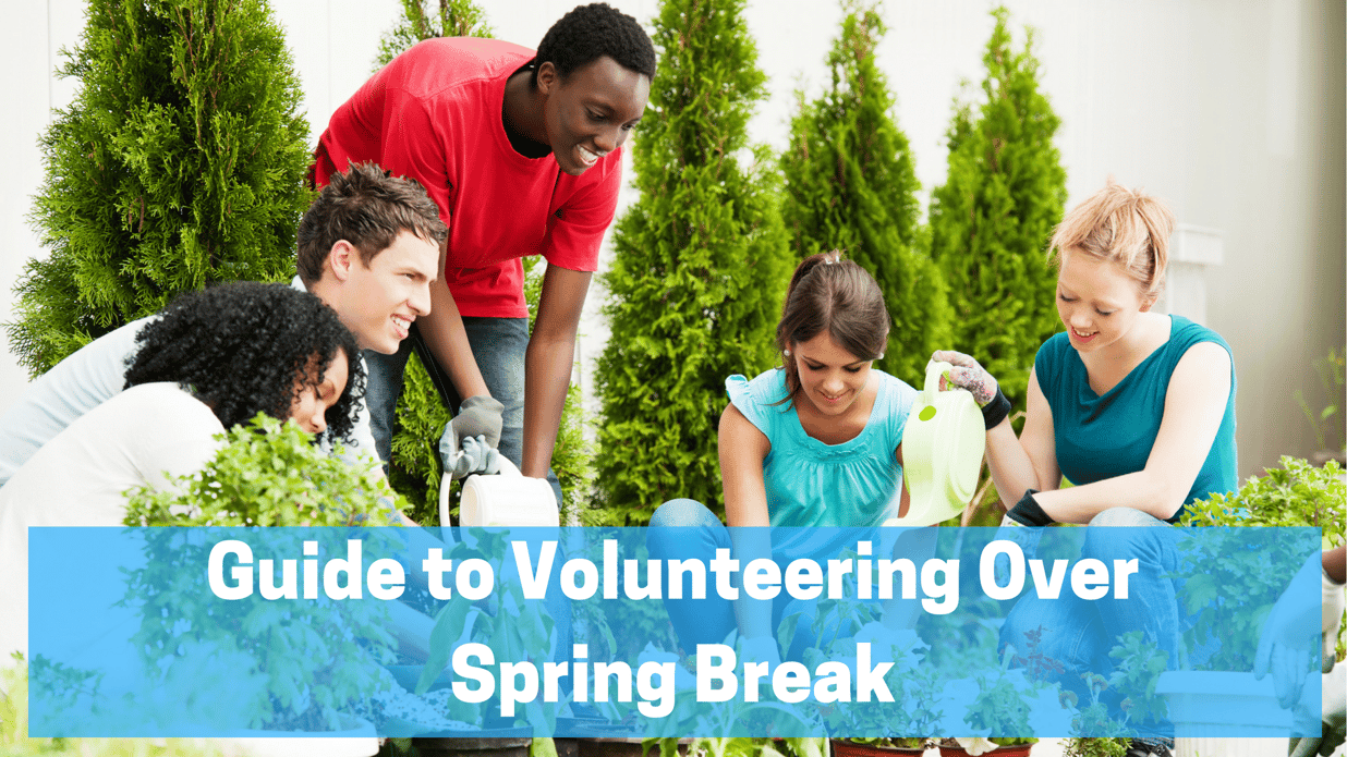 Guide to Volunteering Over Spring Break